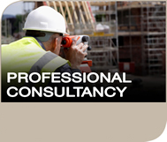 Professional Consultancy